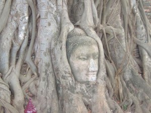 Rondreis kinderen thailand ayutthaya