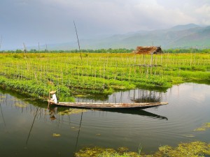 Myanmar drijvende tuin