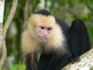 Costa Rica 10