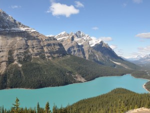 canada jasper