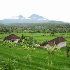 Indonesie: Bali met de kids: 20 dagen