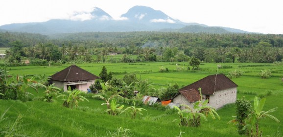 Indonesie: Bali met de kids: 20 dagen