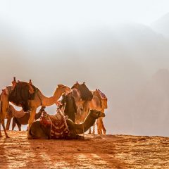 Dubai en Oman met kinderen