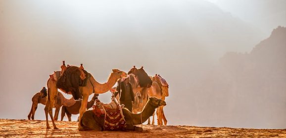 Dubai en Oman met kinderen