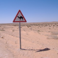 Tunesie Familiereis: Wandelen door Souk en Sahara