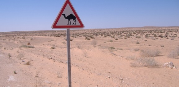 Tunesie Familiereis: Wandelen door Souk en Sahara