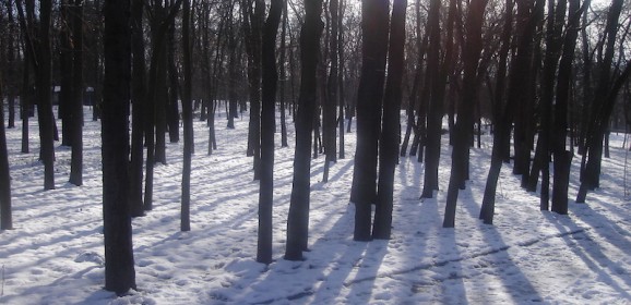 Bulgarije Winter Familiereis: Sneeuwpret in de Rodopi bergen