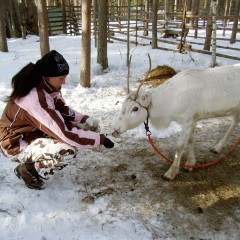 Djoser Junior Lapland: 7 dagen