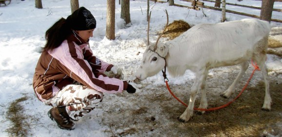 Djoser Junior Lapland: 7 dagen