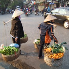 Vietnam met de kids: 22 dagen