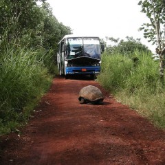 Peru en Ecuador, 18 dagen