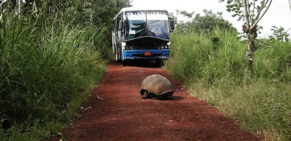 Peru en Ecuador, 18 dagen