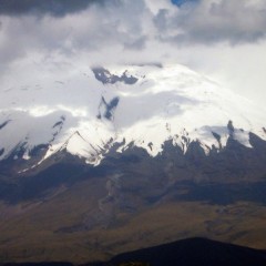 Ecuador Familiereis:  Witte vulkanen en kleurrijke Indianen